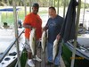 (09/13/2018) - Nice Striped Bass